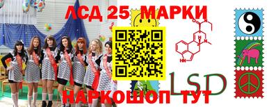 гидропоника Жуковский