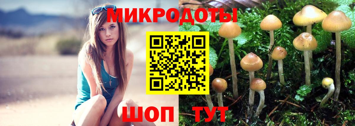 Зима  Псилоцибиновые грибы Psilocybine cubensis  Вход с VPN 