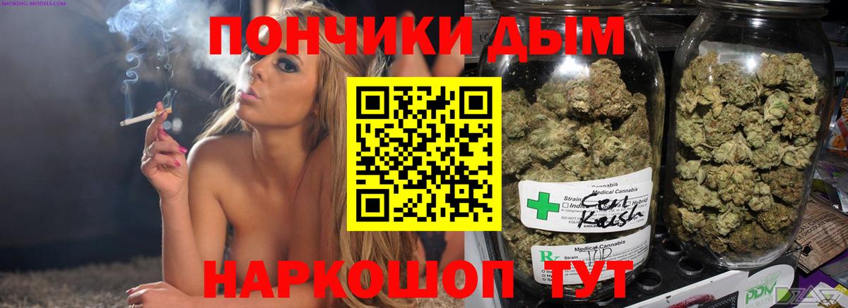 Зима  Канабис марихуана  Вход с VPN  Шишки марихуана планчик 
